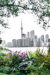 Toronto skyline framed by flowers - Inderly IT (Toronto)